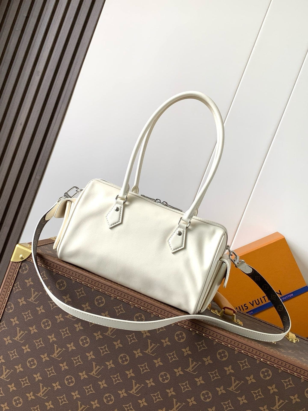 Louis Vuitton M12965 Speedy Cargo Vibe